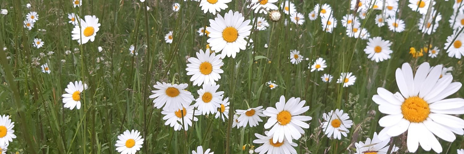 Mark Fletcher banner