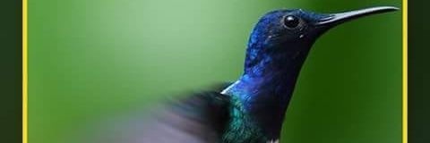 C320hotmailcom1's profile banner image