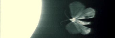 gr4vey4rd11's profile banner image