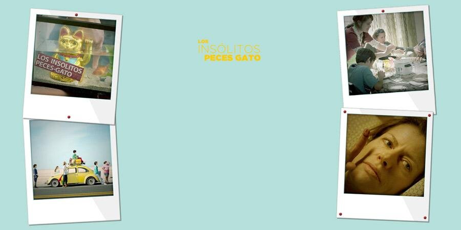 PecesGato's profile banner image