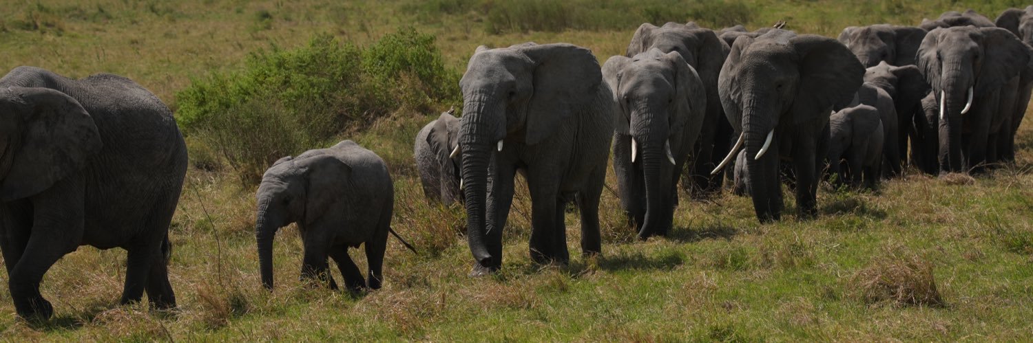 Andrew Deaner banner