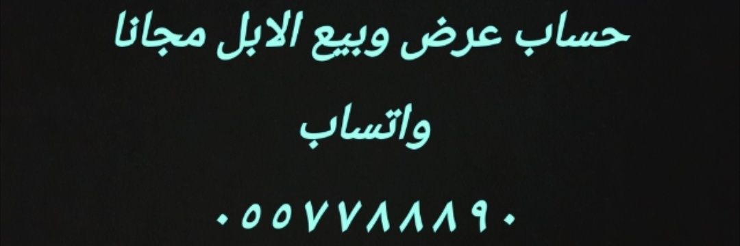 alabdooy's profile banner image