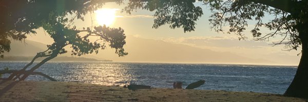CurtisGarbett Profile Banner