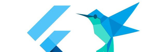 DelhiFlutter Profile Banner