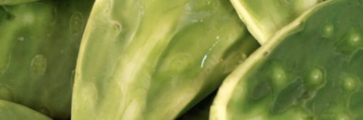 Leal Ximena banner