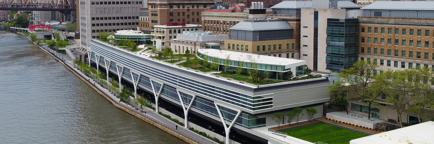 Rock Lab 🧬🧫 banner