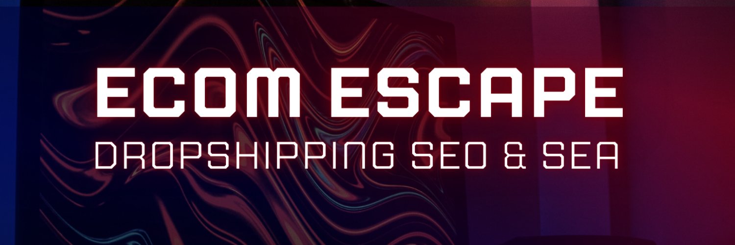 Ping | Dropshipping SEO & SEA banner