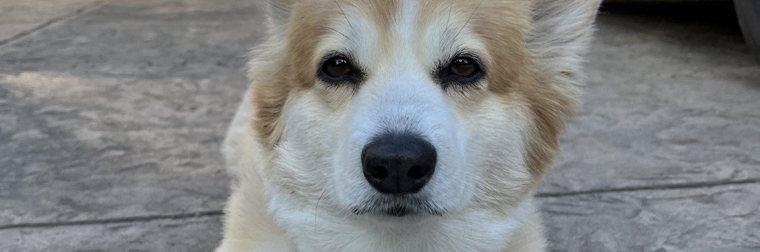 wadeogun85's profile banner image