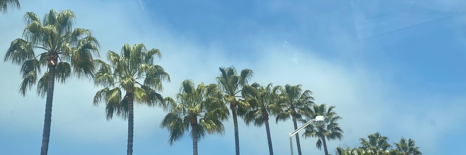🩷. banner