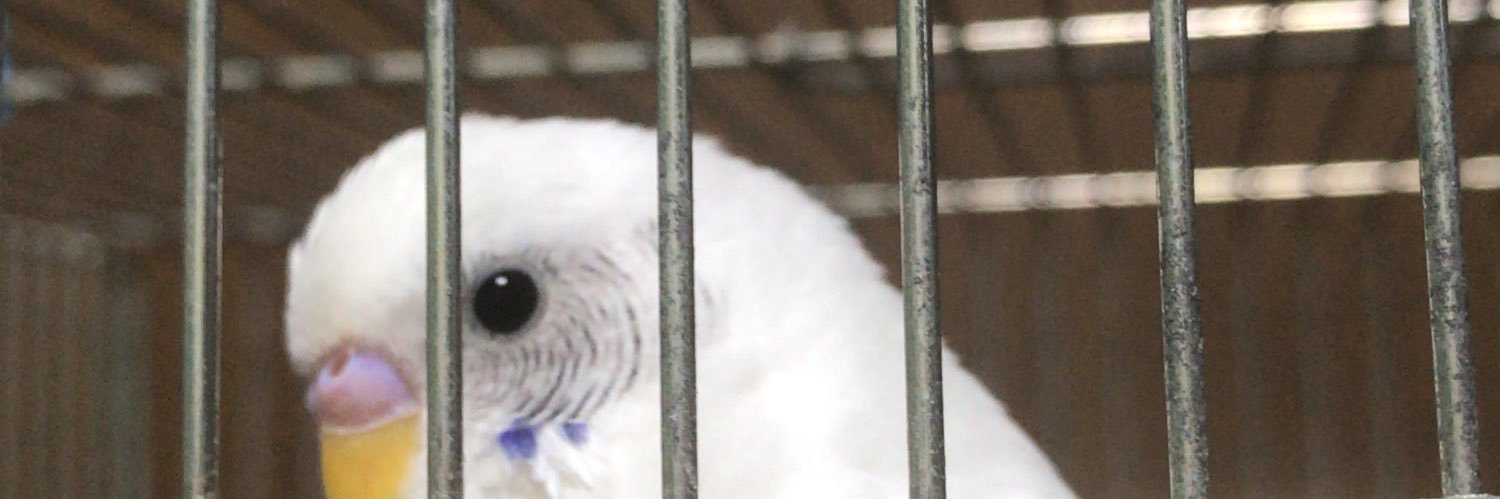 BlueheN_'s profile banner image