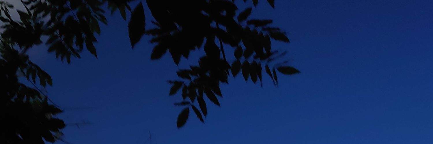 サツキ banner