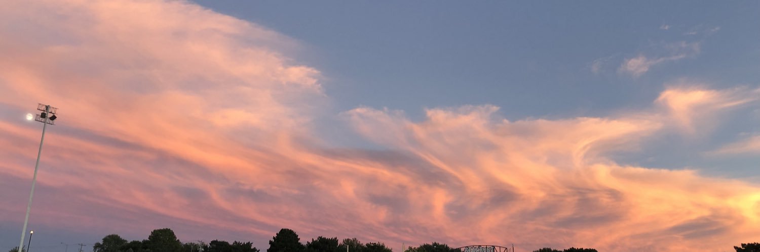 kate schoening banner