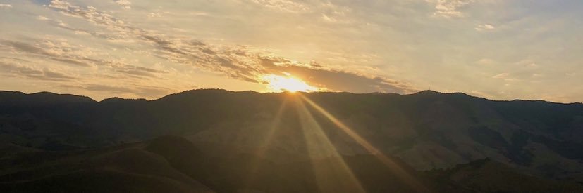 Catherine Allen banner