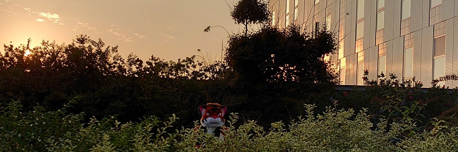 こいん ♥️♥♥🖤 🟢🟢⚫️ banner