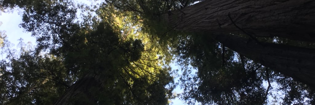 hanoway's profile banner image