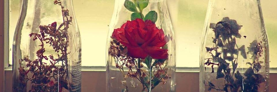 Mariajbb3's profile banner image