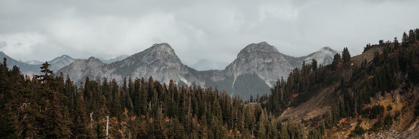 aliyahoff's profile banner image