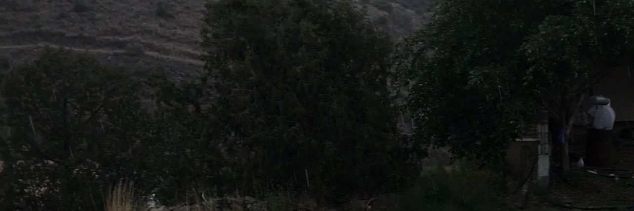 أبو حاتم banner