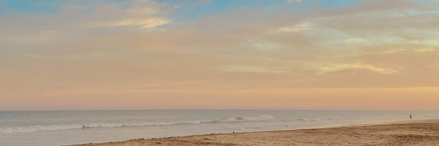 delfiponce1's profile banner image