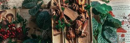 🦊➰gAbY 🧪🏒/ 📚: As almas da academia Blackwood banner