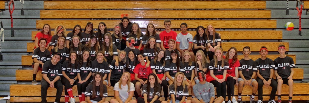 cca_asb's profile banner image