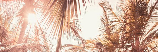 Sandrajcc's profile banner image