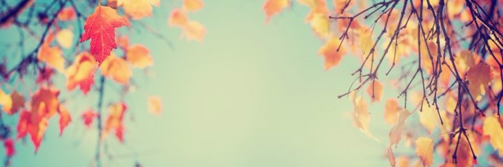 SbaAfon's profile banner image