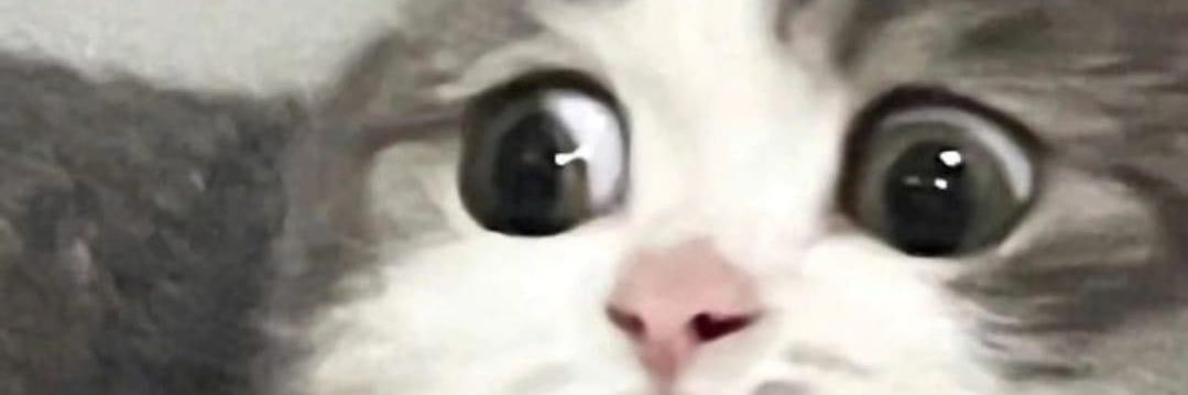 Trin_Trin banner
