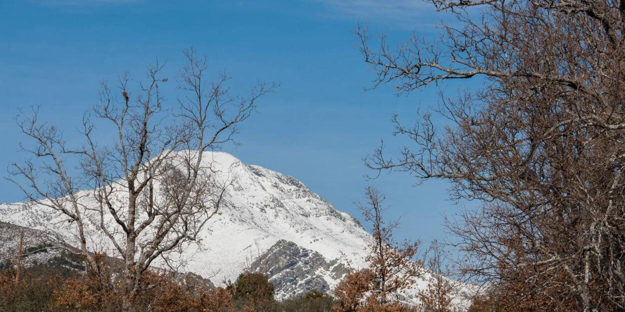 GuadalajaraDiario banner