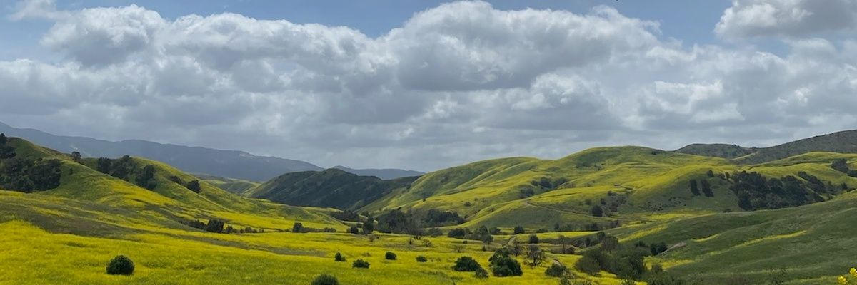 just sayin.... banner