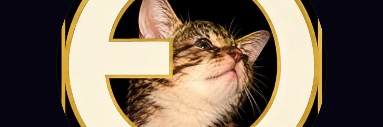 MNBHSOL's profile banner image