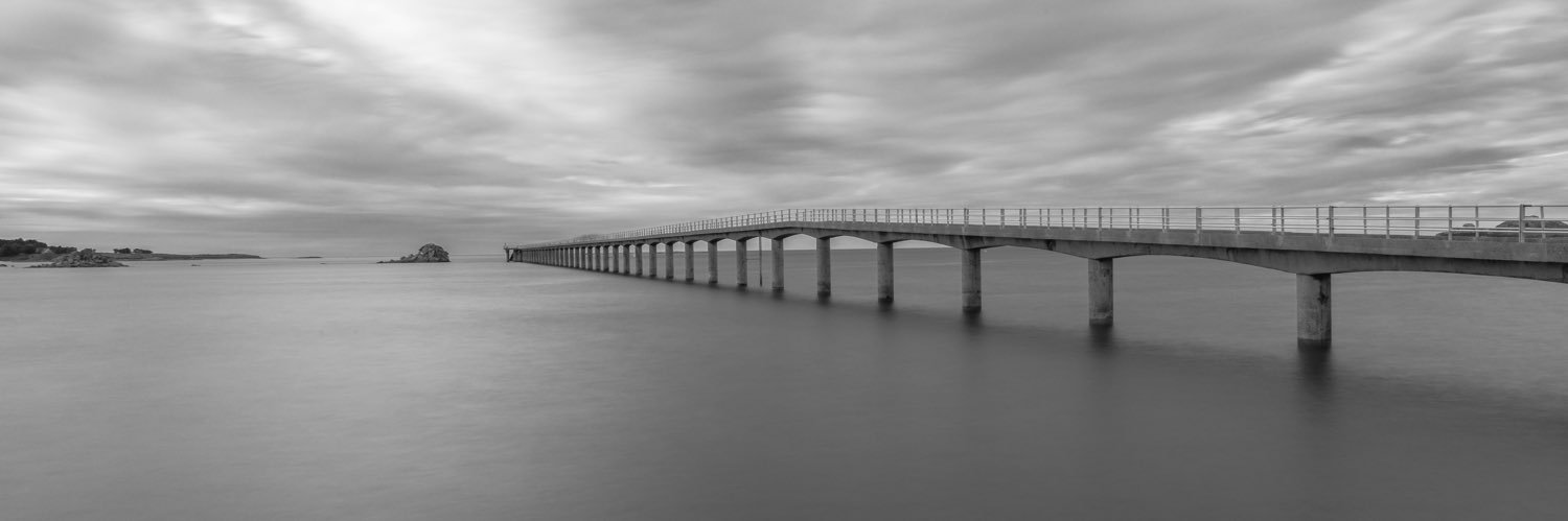 Louvarde Variegata 🐺🌿 banner