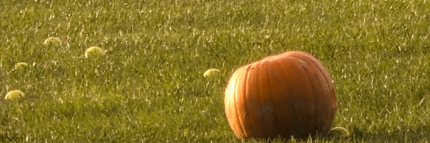 haz227's profile banner image