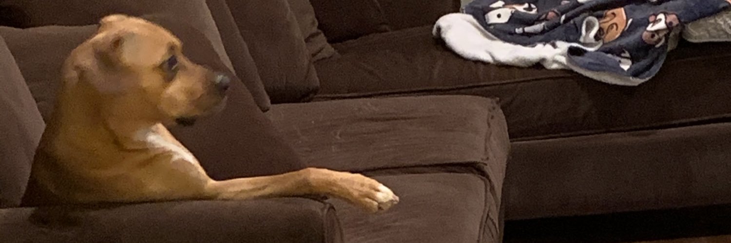 kenithleslie's profile banner image