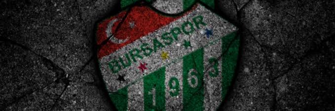 İbrahim H.KARAALİ banner