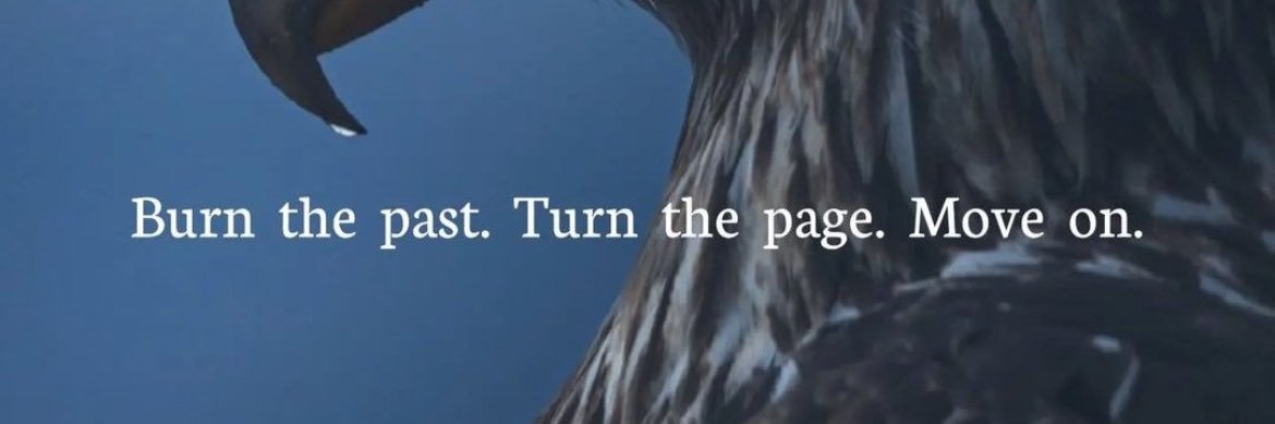 Collectionboss1's profile banner image