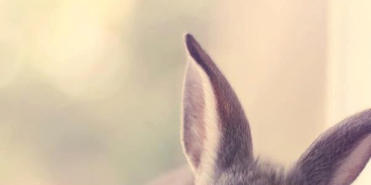 danfre2015's profile banner image