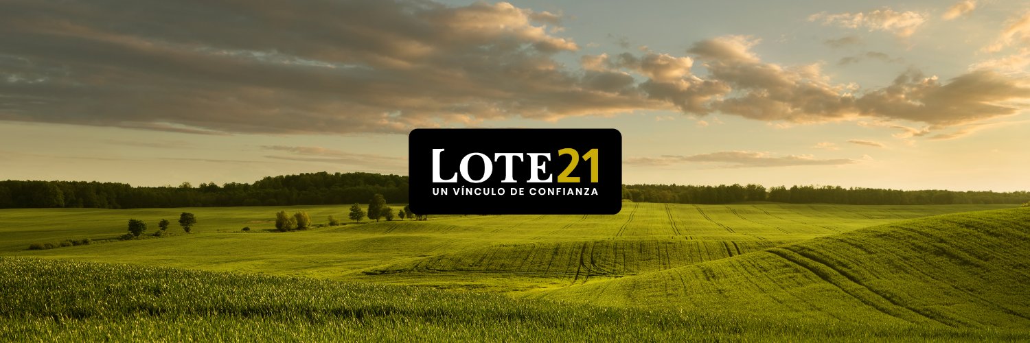 Lote21's profile banner image