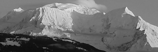CollombStphani1 Profile Banner
