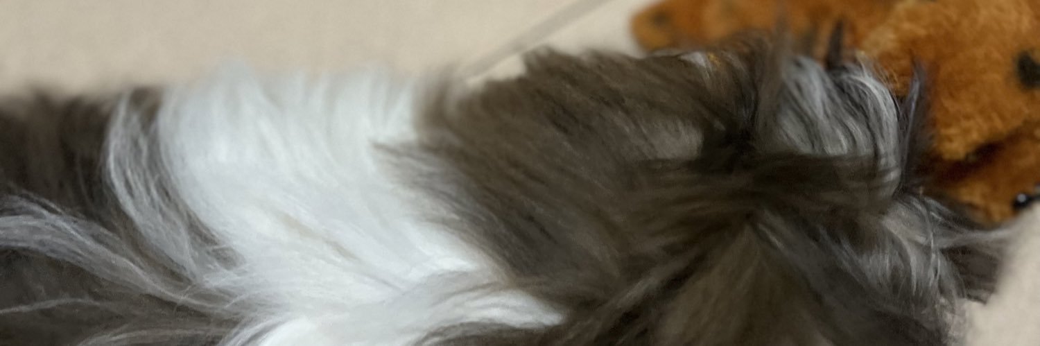 avff__'s profile banner image
