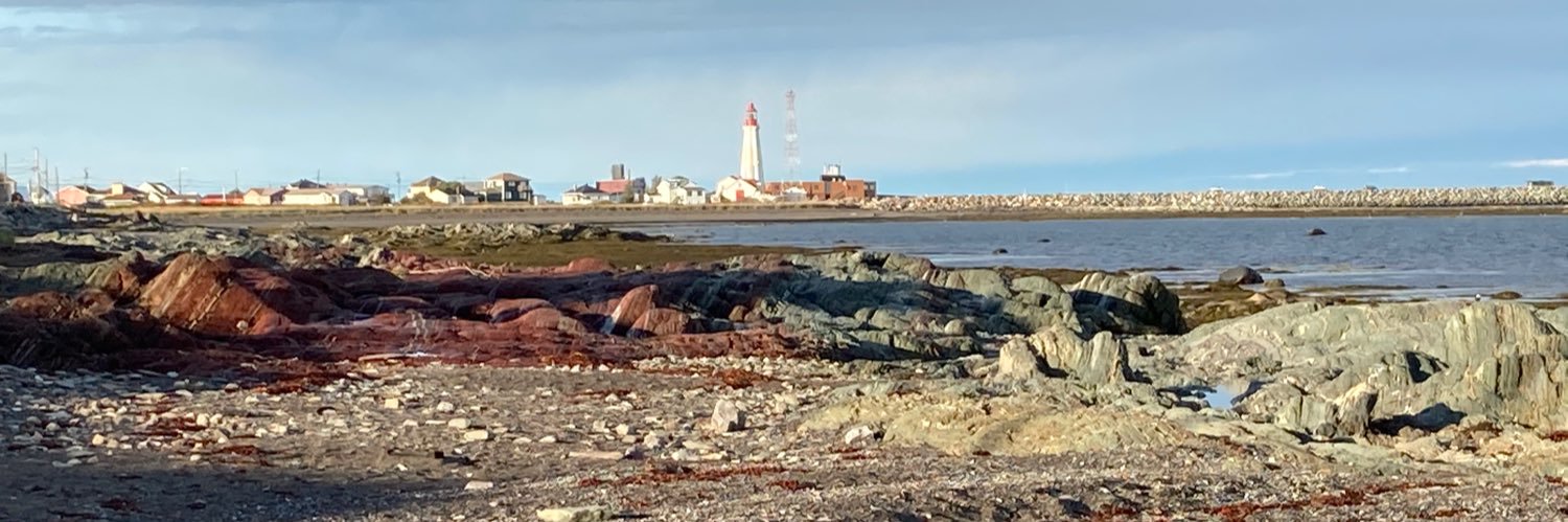 David Bouchard banner