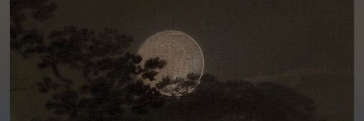 🕊 banner