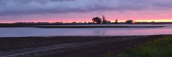 silverj50 Profile Banner