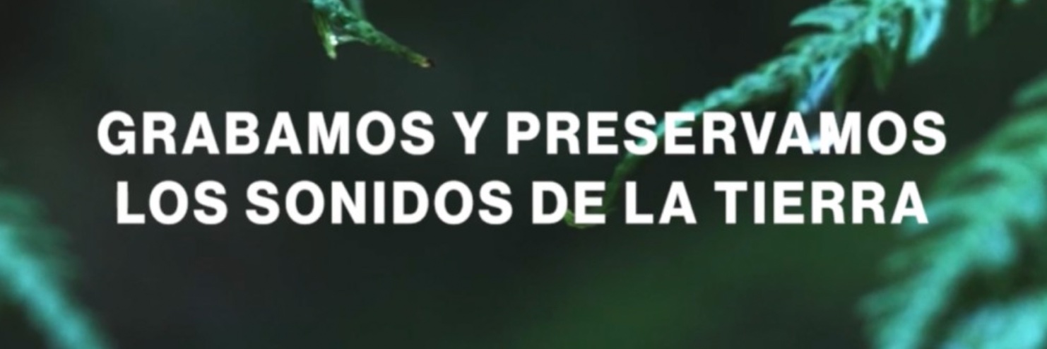 Andrea Lamount banner
