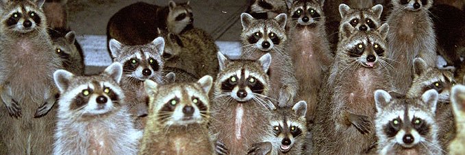RenataBlessa's profile banner image