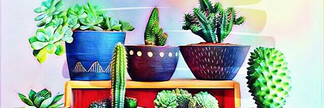 Kondee💜 banner