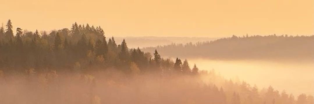 CassyDoBeSassy's profile banner image