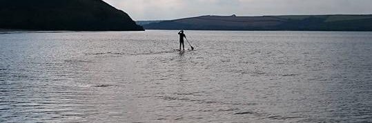 Des Prout (Niffty) banner