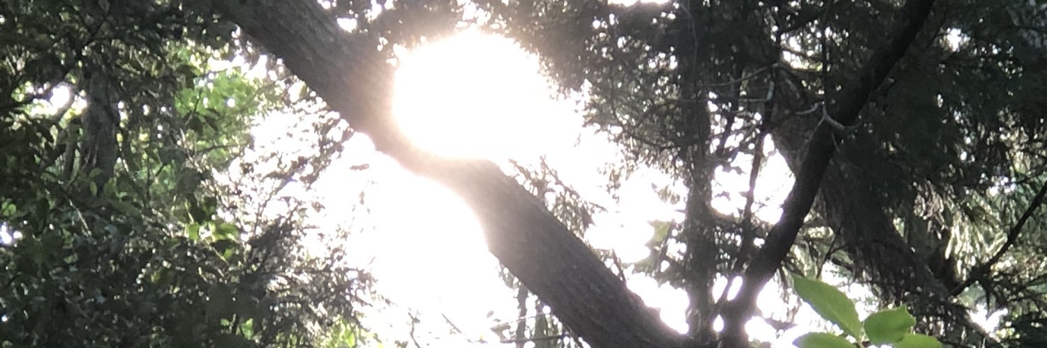 Suzu_Rio422's profile banner image