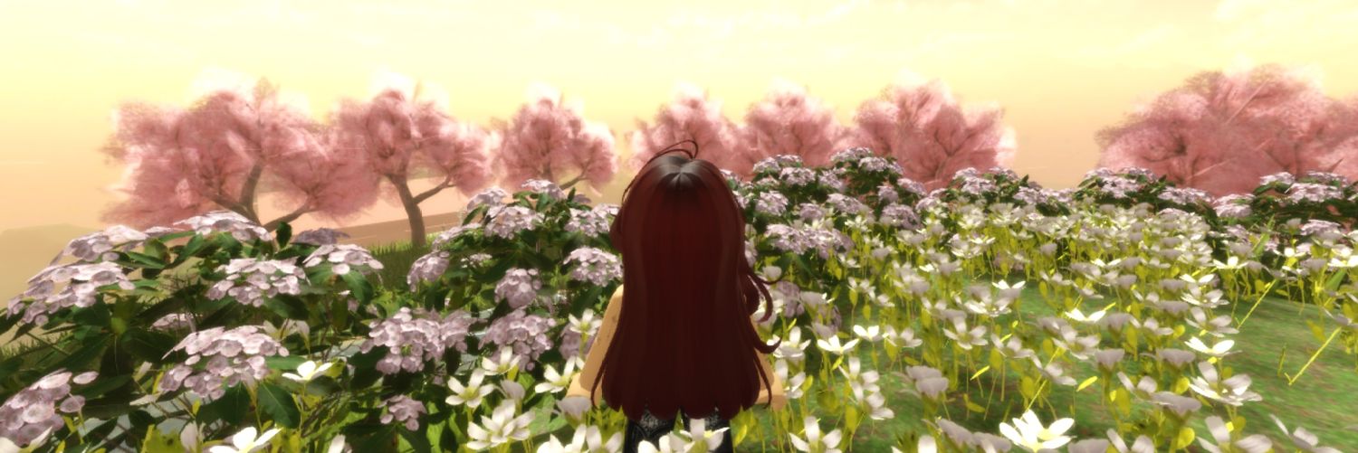 Alroraargh's profile banner image